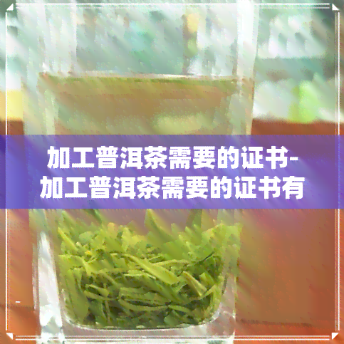 加工普洱茶需要的证书-加工普洱茶需要的证书有哪些