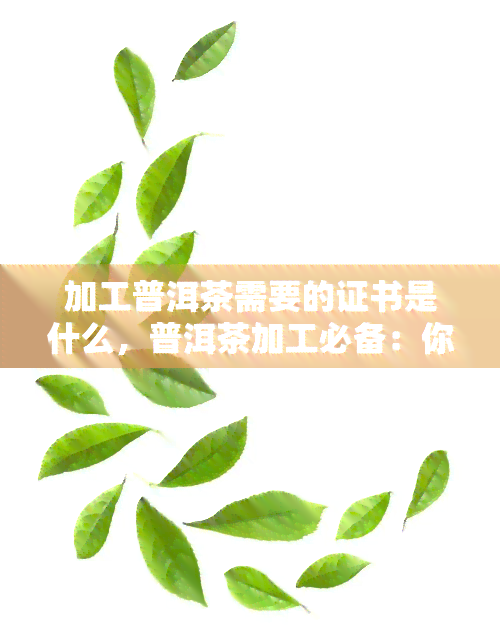 加工普洱茶需要的证书是什么，普洱茶加工必备：你需要哪些证书？