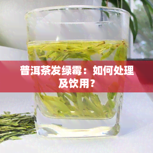 普洱茶发绿霉：如何处理及饮用？