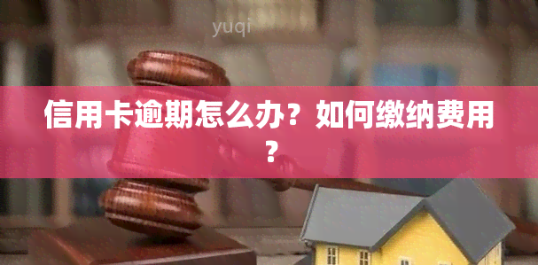 信用卡逾期怎么办？如何缴纳费用？