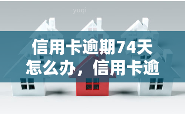 信用卡逾期74天怎么办，信用卡逾期74天，如何解决？