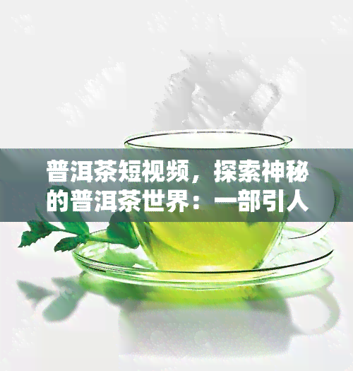 普洱茶短视频，探索神秘的普洱茶世界：一部引人入胜的短视频