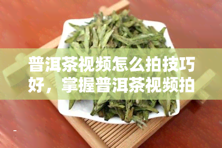 普洱茶视频怎么拍技巧好，掌握普洱茶视频拍摄技巧，让你的作品更上一层楼！