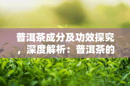 普洱茶成分及功效探究，深度解析：普洱茶的成分与神奇功效