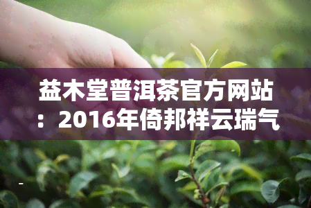 益木堂普洱茶官方网站：2016年倚邦祥云瑞气