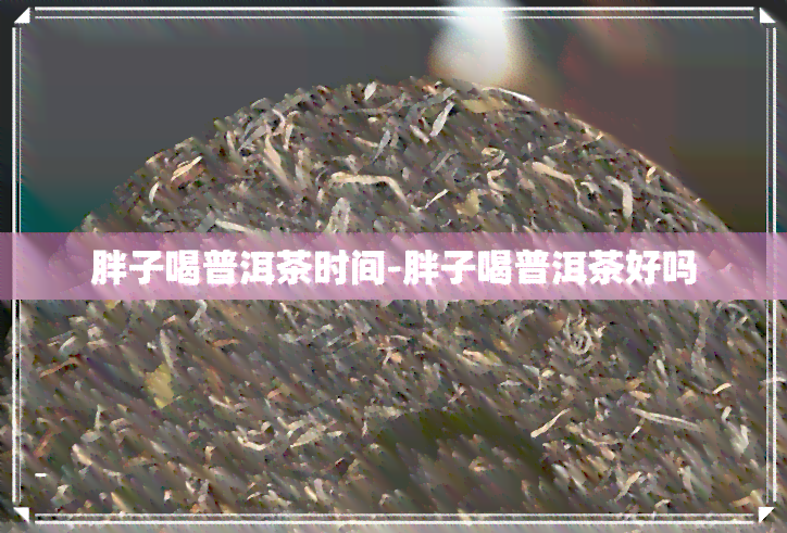 胖子喝普洱茶时间-胖子喝普洱茶好吗