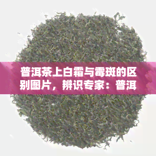 普洱茶上白霜与霉斑的区别图片，辨识专家：普洱茶上白霜与霉斑的视觉区别