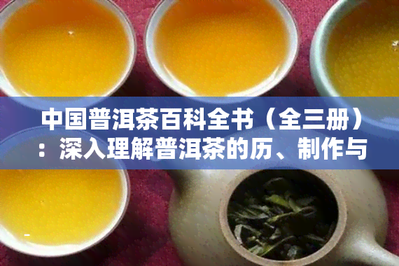 中国普洱茶百科全书（全三册）：深入理解普洱茶的历、制作与文化