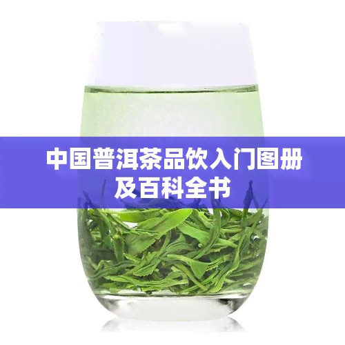 中国普洱茶品饮入门图册及百科全书