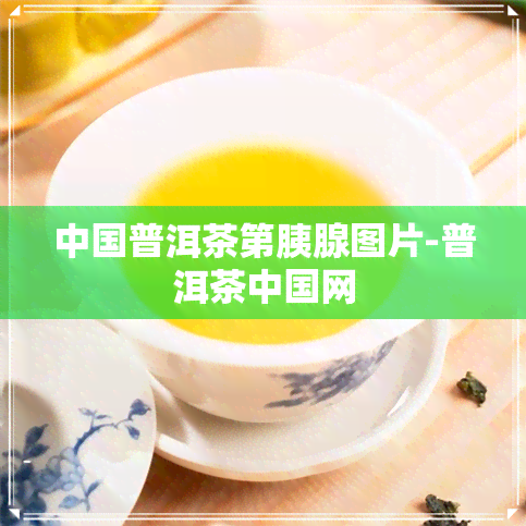 中国普洱茶第胰腺图片-普洱茶中国网