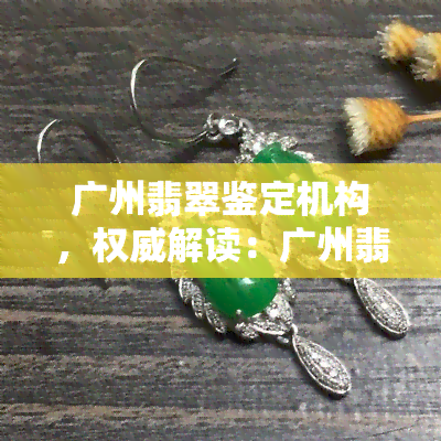 广州翡翠鉴定机构，权威解读：广州翡翠鉴定机构的专业服务与鉴定标准