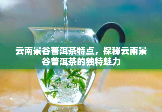 云南景谷普洱茶特点，探秘云南景谷普洱茶的独特魅力