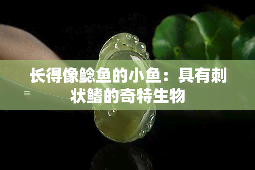 长得像鲶的小：具有刺状鳍的奇特生物