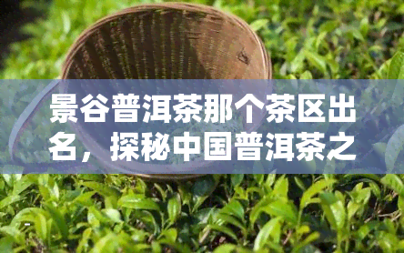 景谷普洱茶那个茶区出名，探秘中国普洱茶之乡：景谷茶区的名声与魅力