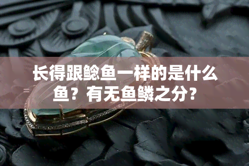 长得跟鲶一样的是什么？有无鳞之分？