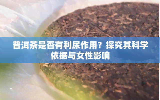 普洱茶是否有利尿作用？探究其科学依据与女性影响