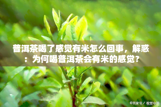 普洱茶喝了感觉有米怎么回事，解惑：为何喝普洱茶会有米的感觉？