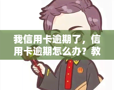 我信用卡逾期了，信用卡逾期怎么办？教你应对策略