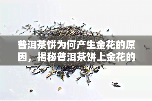 普洱茶饼为何产生金花的原因，揭秘普洱茶饼上金花的来源与形成原因