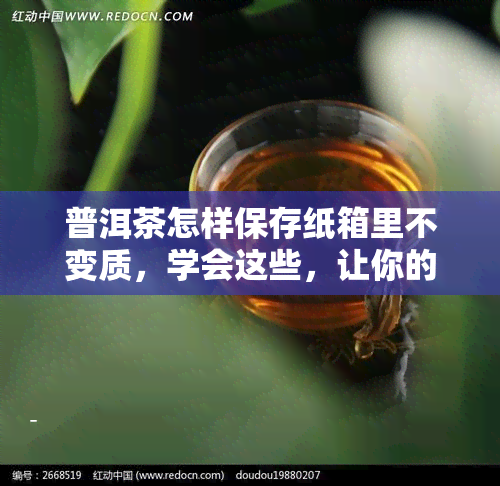 普洱茶怎样保存纸箱里不变质，学会这些，让你的普洱茶在纸箱中长久保！