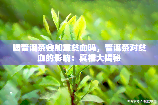 喝普洱茶会加重贫血吗，普洱茶对贫血的影响：真相大揭秘