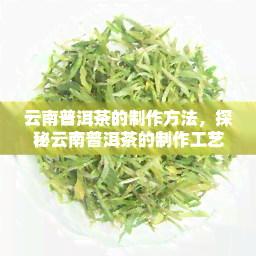 云南普洱茶的制作方法，探秘云南普洱茶的制作工艺：从采摘到发酵全过程解析