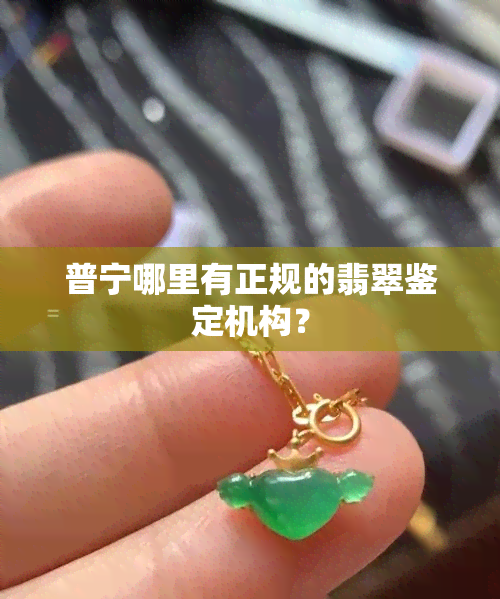 普宁哪里有正规的翡翠鉴定机构？