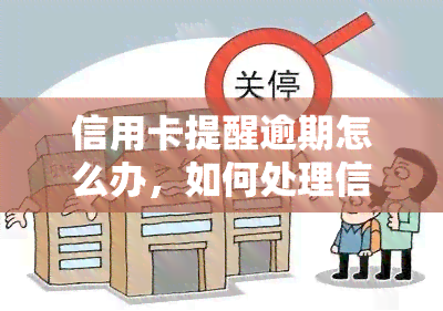 信用卡提醒逾期怎么办，如何处理信用卡逾期提醒？一份全面的解决方案