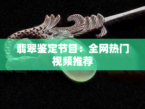 翡翠鉴定节目：全网热门视频推荐