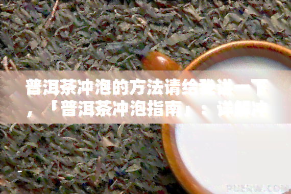 普洱茶冲泡的方法请给我讲一下，「普洱茶冲泡指南」：详解冲泡方法