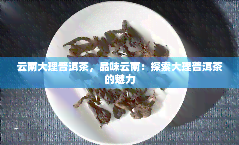 云南大理普洱茶，品味云南：探索大理普洱茶的魅力