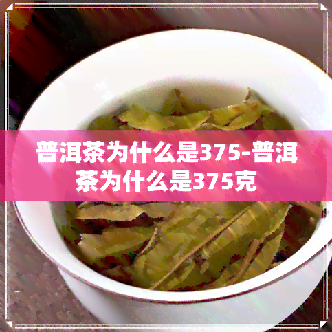 普洱茶为什么是375-普洱茶为什么是375克