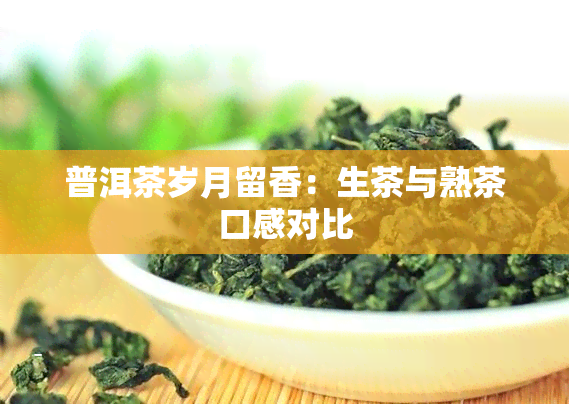 普洱茶岁月留香：生茶与熟茶口感对比