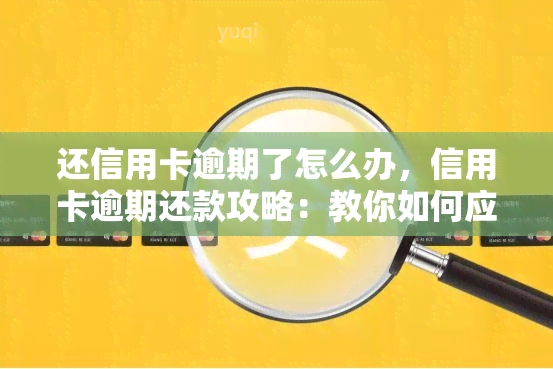 还信用卡逾期了怎么办，信用卡逾期还款攻略：教你如何应对逾期问题