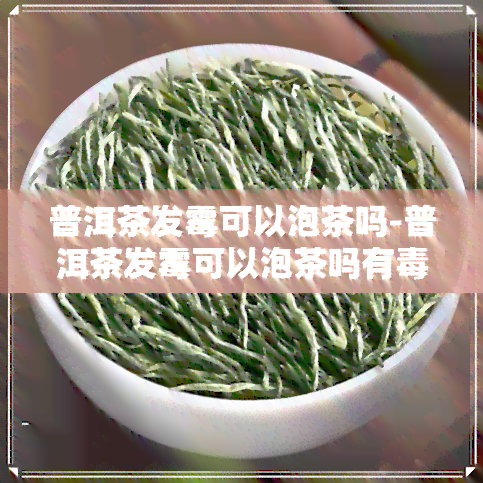 普洱茶发霉可以泡茶吗-普洱茶发霉可以泡茶吗有吗