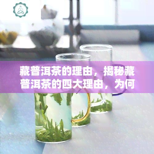 藏普洱茶的理由，揭秘藏普洱茶的四大理由，为何它备受推崇？