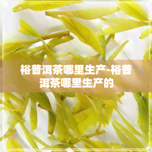 裕普洱茶哪里生产-裕普洱茶哪里生产的