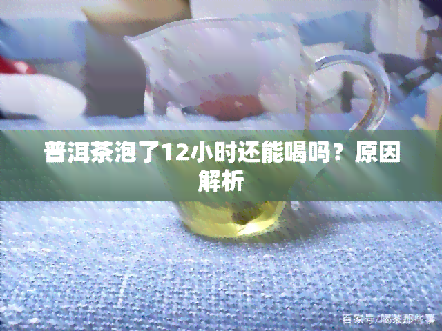 普洱茶泡了12小时还能喝吗？原因解析