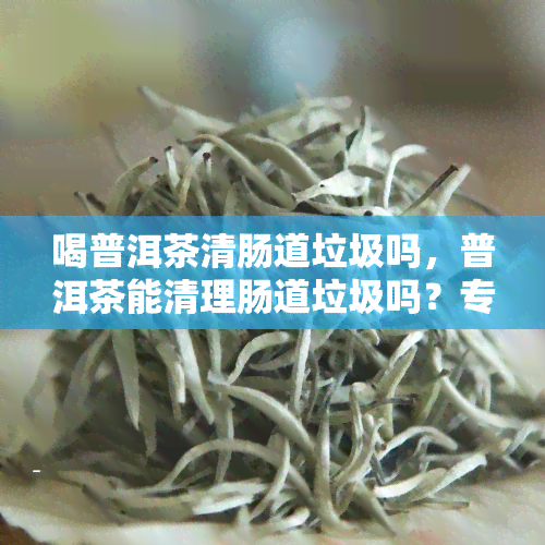 喝普洱茶清肠道垃圾吗，普洱茶能清理肠道垃圾吗？专家解读