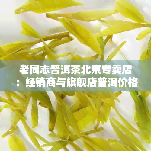 老同志普洱茶北京专卖店：经销商与旗舰店普洱价格全览