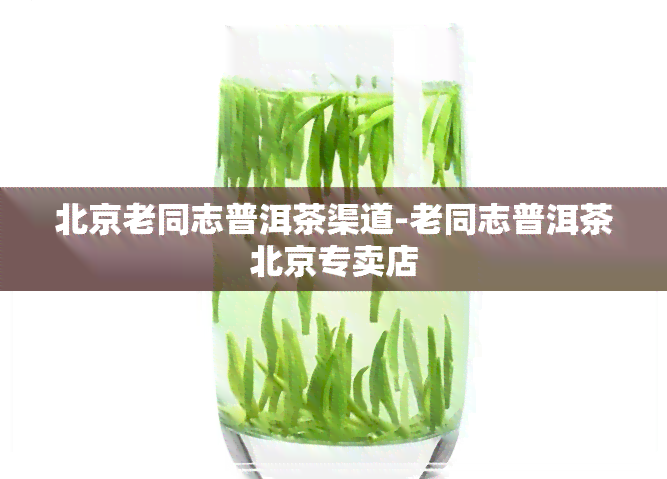 北京老同志普洱茶渠道-老同志普洱茶北京专卖店