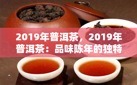 2019年普洱茶，2019年普洱茶：品味陈年的独特韵味