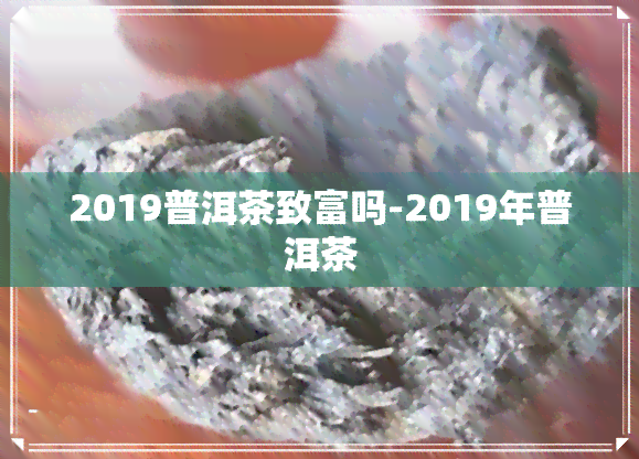 2019普洱茶致富吗-2019年普洱茶