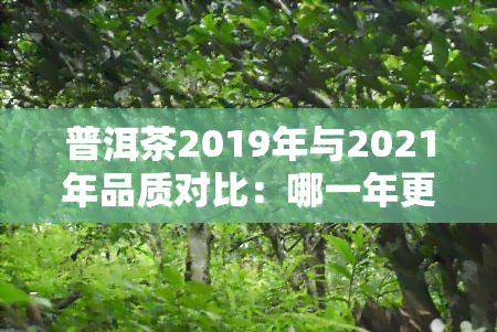 普洱茶2019年与2021年品质对比：哪一年更好？最新价格一目了然！