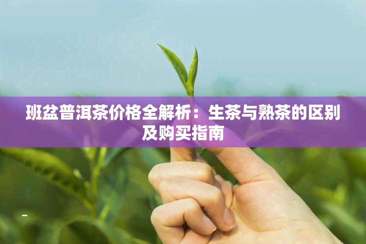 班盆普洱茶价格全解析：生茶与熟茶的区别及购买指南