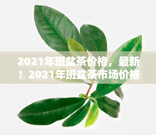 2021年班盆茶价格，最新！2021年班盆茶市场价格趋势分析