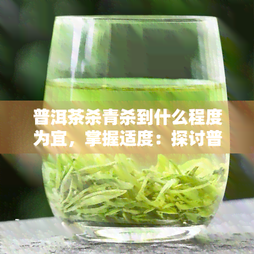 普洱茶杀青杀到什么程度为宜，掌握适度：探讨普洱茶杀青的适宜程度