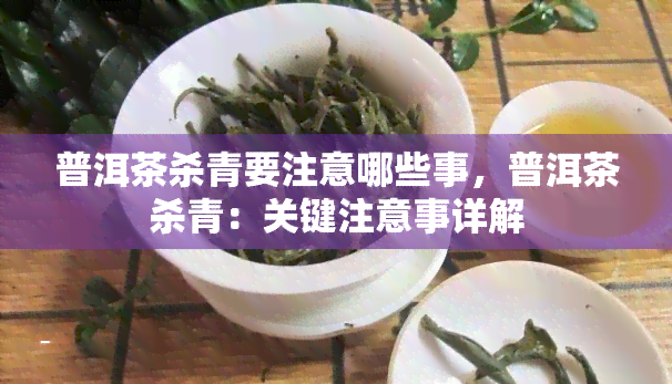 普洱茶杀青要注意哪些事，普洱茶杀青：关键注意事详解