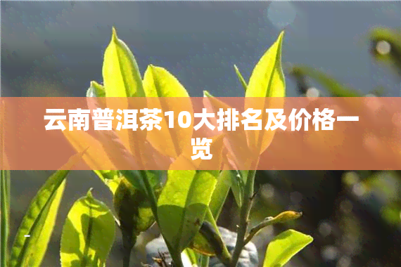 云南普洱茶10大排名及价格一览