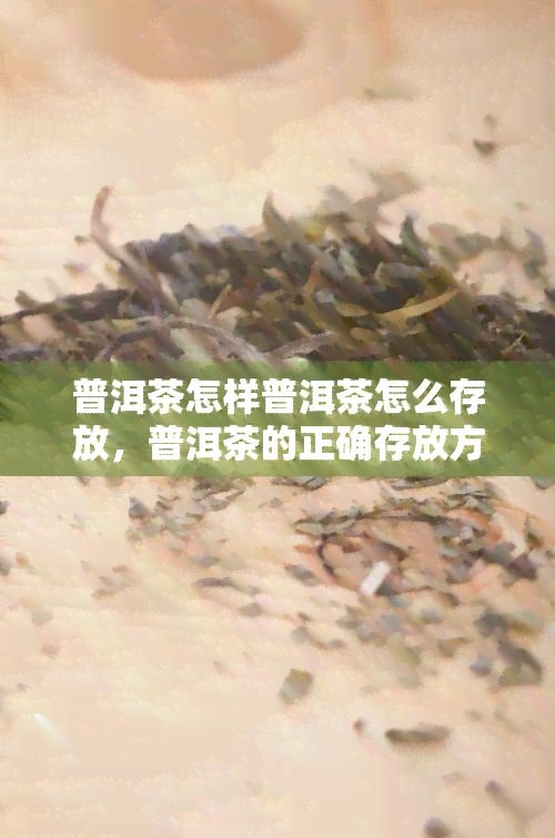 普洱茶怎样普洱茶怎么存放，普洱茶的正确存放方法：让你的普洱茶更加醇香美味！